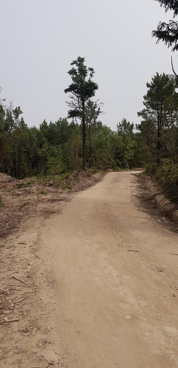 Pedra Amarela Viewpoint